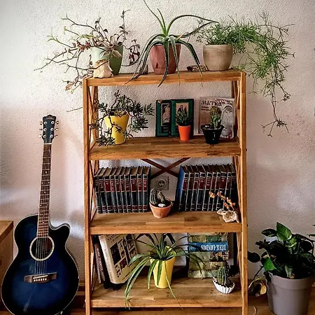 Будинок відпочинку Ilis House Matka